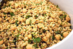 SPRING HAS SPRUNG BAT MITZVAH